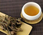 金線蓮泡茶一次放幾根？