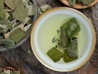 荷葉茶為什么叫短命茶？