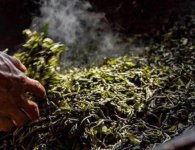 炒茶葉的四大步驟？