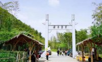 5月12日：徒步貢茶古道，天然氧吧，綠色之旅